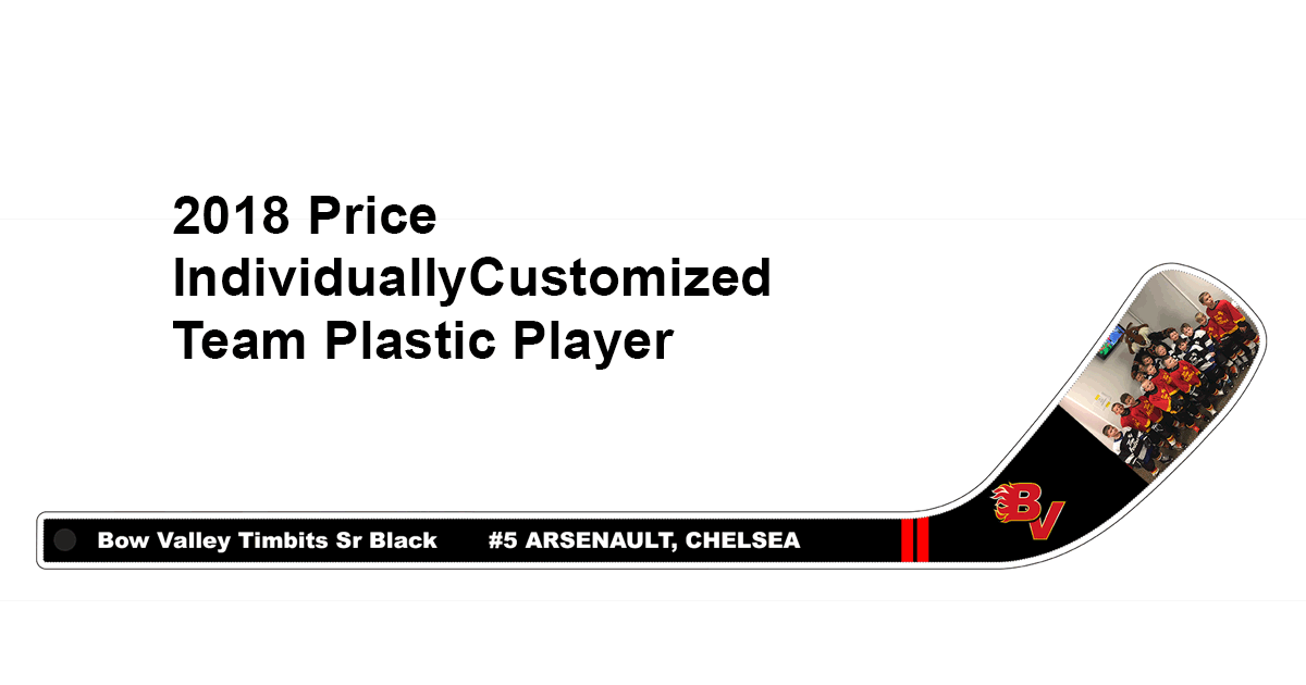 n canadian custom mini hockey sticks